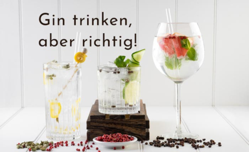 Wie trinkt man Gin?