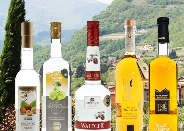 Südtirol und das Trentino: Schnaps und Grappa der Spitzenklasse