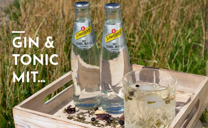 Gin Tonic mit Dry Tonic Water von Schweppes