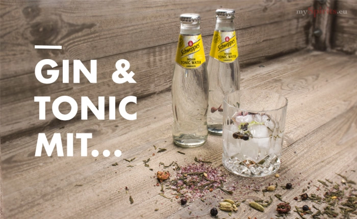 Gin Tonic mit Schweppes Indian Tonic Water – Gin-Empfehlungen