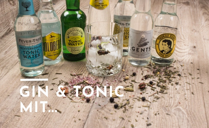 Gin & Tonic – Welcher Gin passt zu welchem Tonic Water?