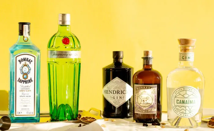 5 klassische Gins von früher und 5 neue Gin-Klassiker, die du unbedingt kennen musst