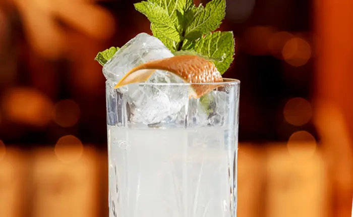 Windspiel Gin: Cocktail-Rezepte mit dem Premium Gin aus der Eifel
