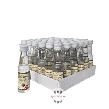 36 x Prinz Hausschnaps mit Marille Mini / 34 % vol / 36 x 0,02 Liter-PET-Flasche