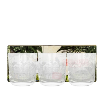 Don Papa Glas Set mit 3 Tumblern / je ca. 350 ml / Ø ca. 7,8 cm / H: ca. 10 cm / 3 Gläser in Dekobox