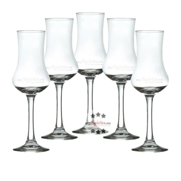 5 x mySpirits Schnapskelch / je Stück ca. 55 ml / H: ca. 16 cm