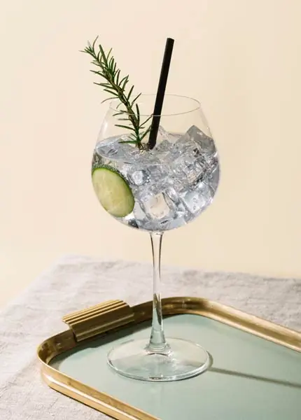 Gin Tonic mit Rosmarin Gin Tonic mit Rosmarin