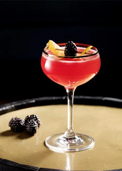 Genießen Sie Sloe Gin als Cocktail Genießen Sie Sloe Gin als Cocktail