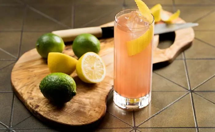 Sloe Gin Sloe Gin