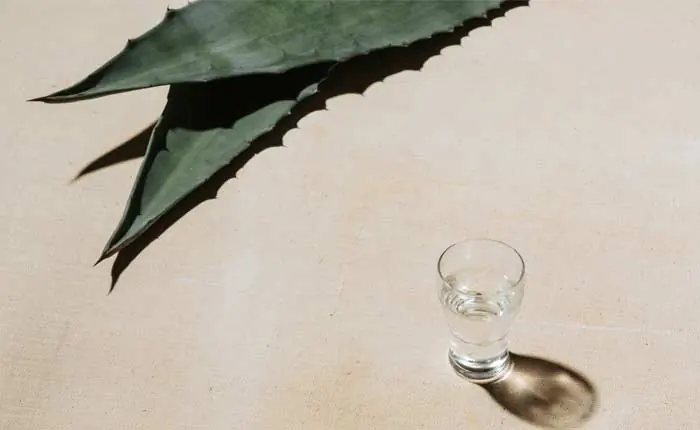 Weißer Tequila Weißer Tequila
