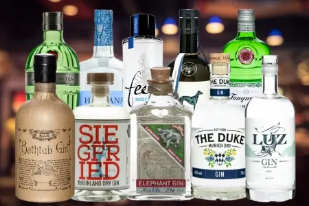 Auf diese Gins dürfen Sie sich während des Tastings freuen Auf diese Gins dürfen Sie sich während des Tastings freuen