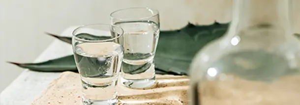 Tolles Tequila-Sortiment bei mySpirits.eu entdecken! Tequila online kaufen – mexikanische Vielfalt entdecken!