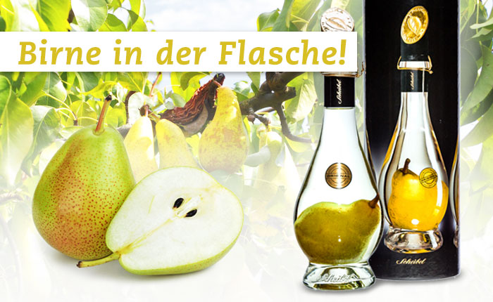 Wie kommt die Birne in die Flasche?