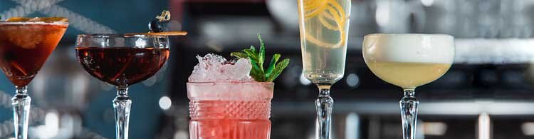 Gin Tonic, Tom Collins, Dry Martini oder Gin Basil Smash, f&uuml;r jeden ist etwas dabei!